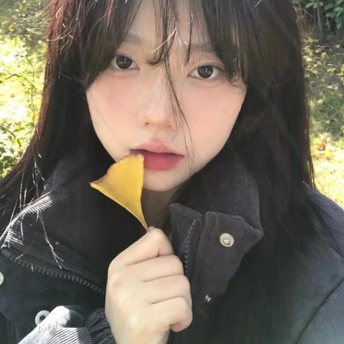 无言的树